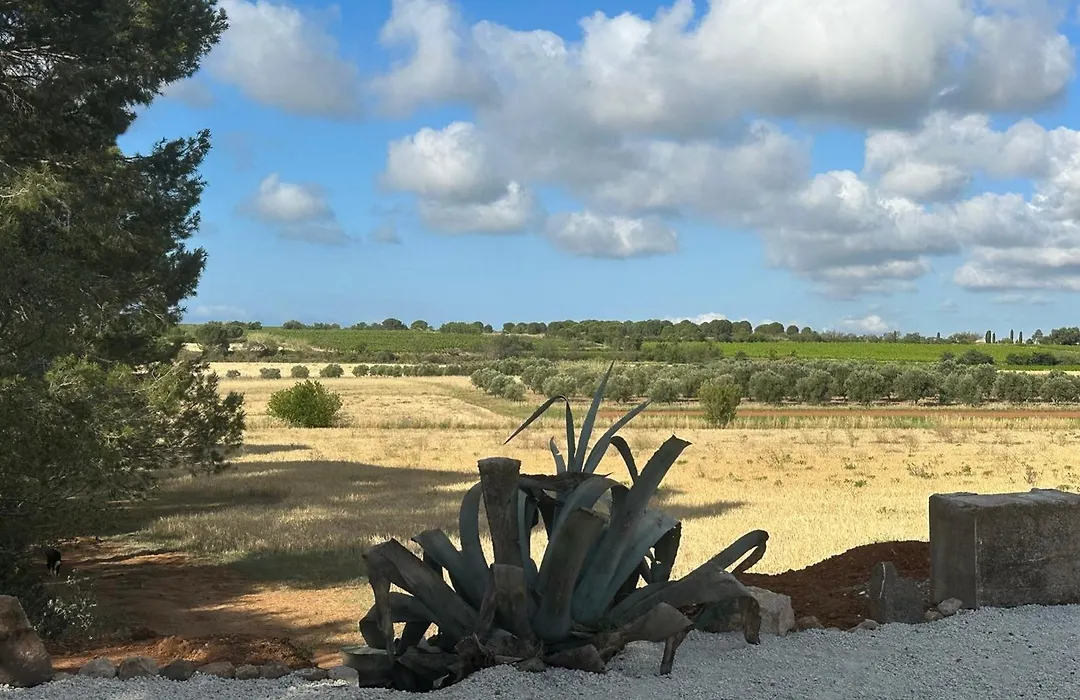 Gîtes dans Domaine des Barrettes-1